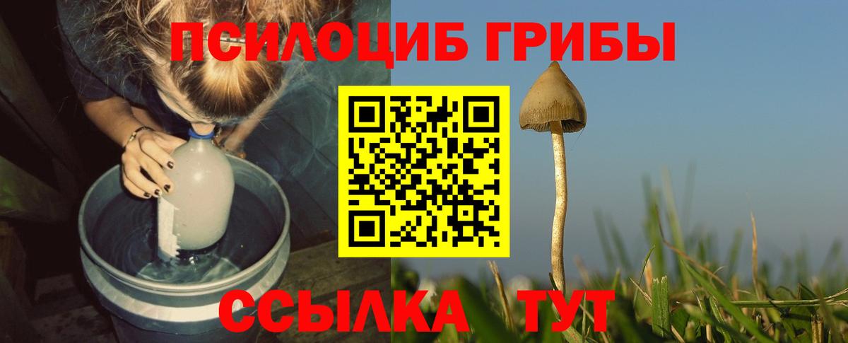 Галлюциногенные грибы Magic Shrooms  Вход с VPN  Барнаул  Галлюциногенные грибы Magic Shrooms 