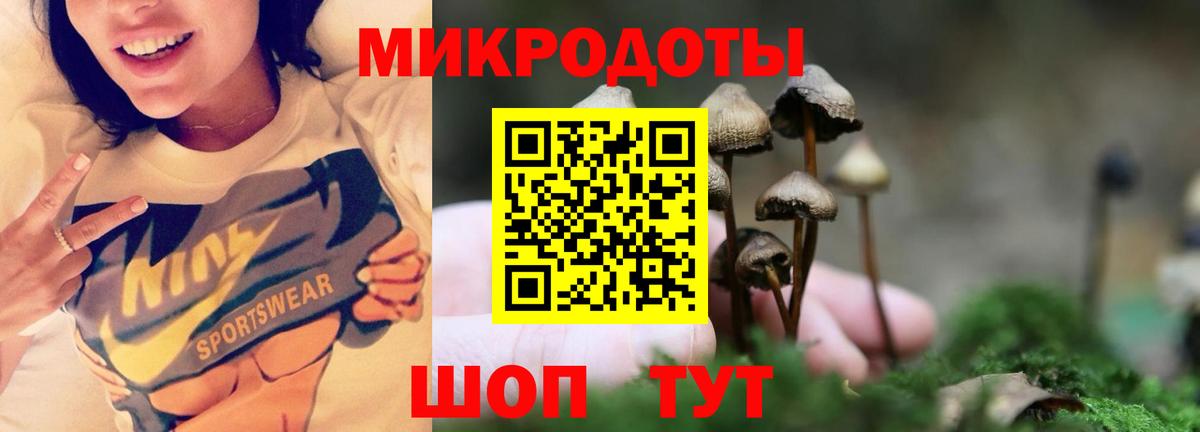 Псилоцибиновые грибы мухоморы Барнаул